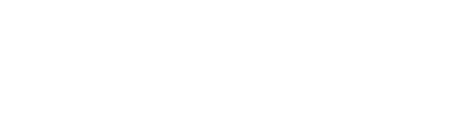 The Wash Guys — Professional Car Detailers